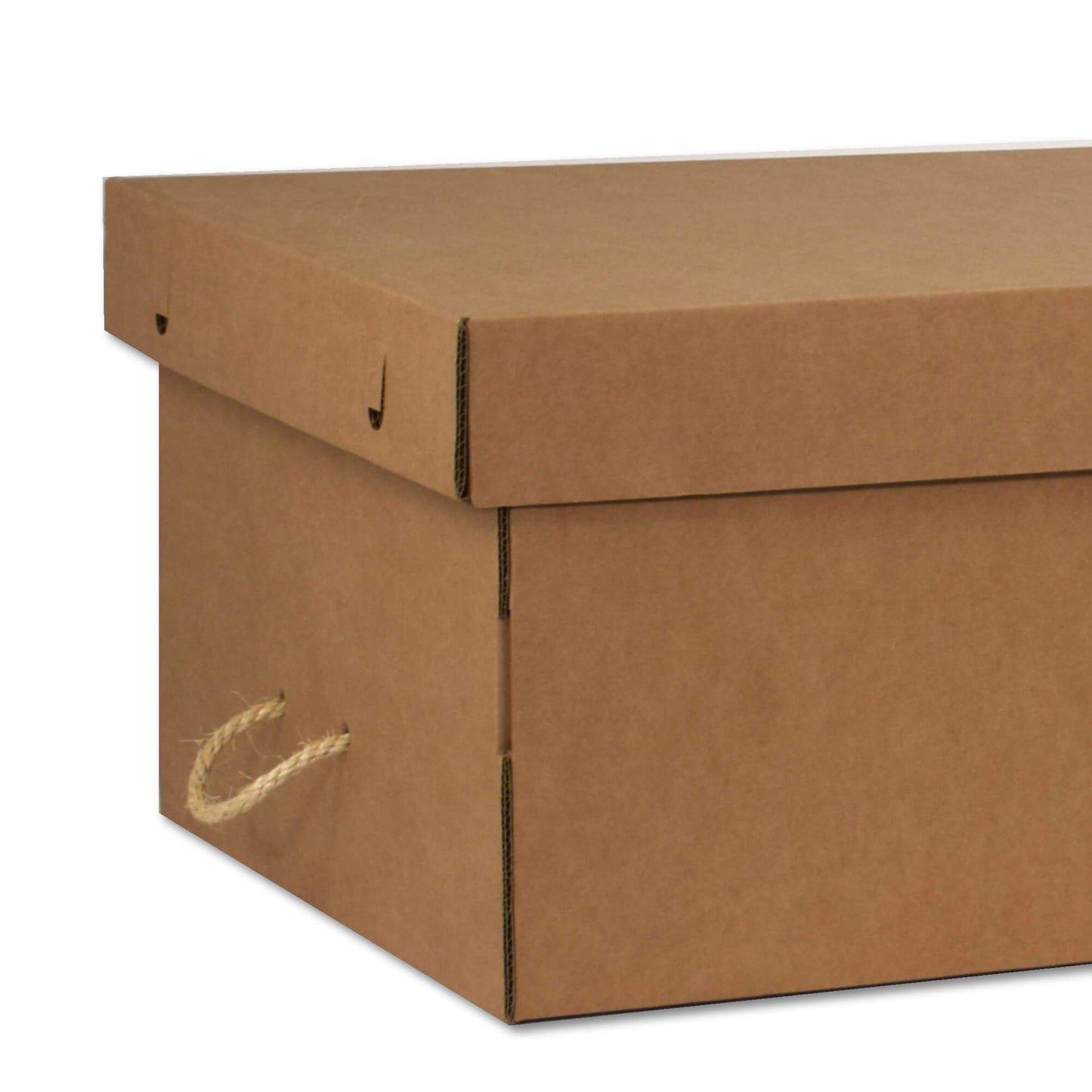 Flatpack cardboard coffin