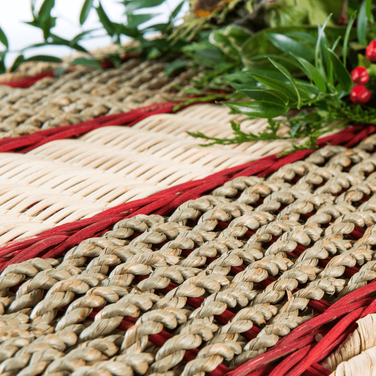 Banana Casket Cerise - Willow