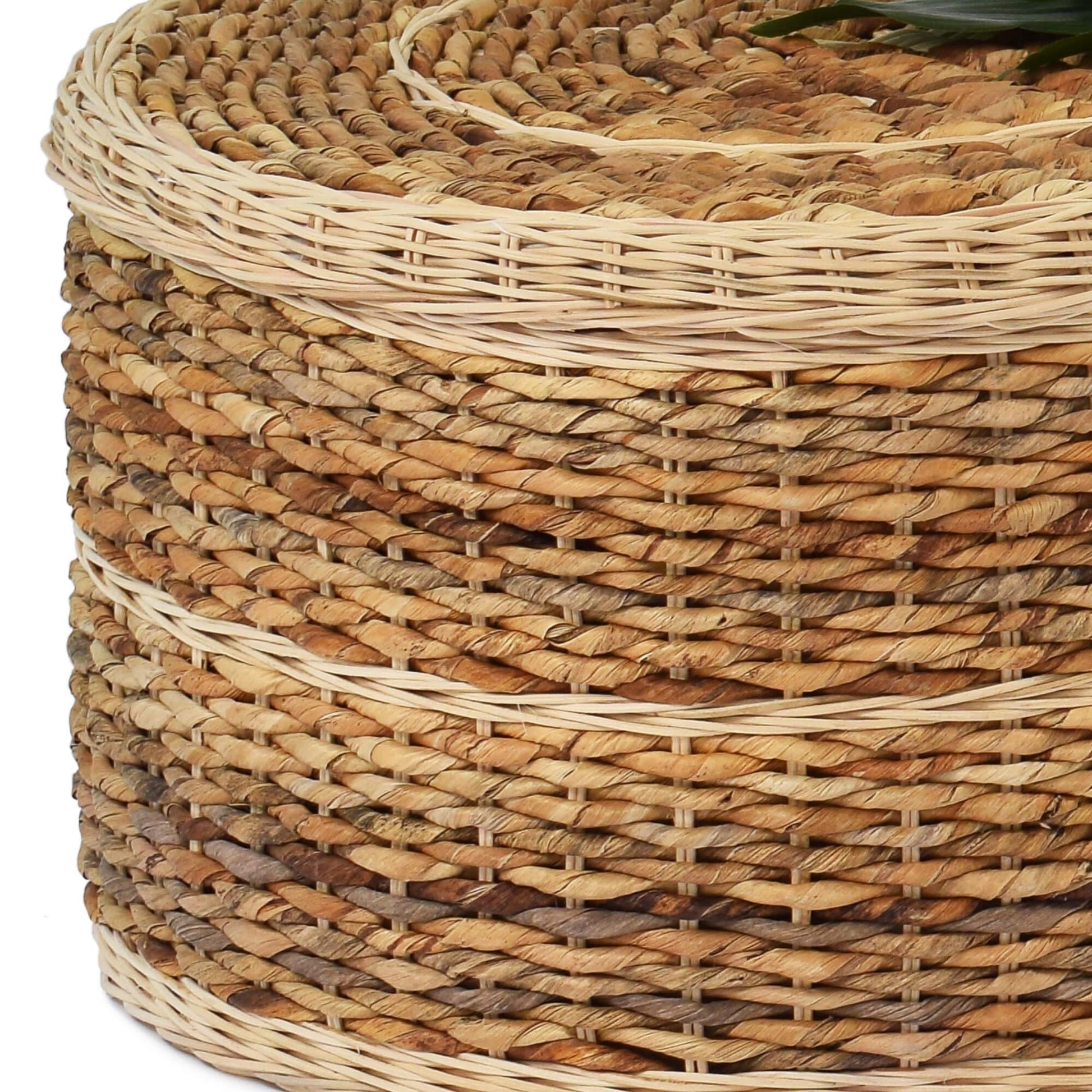 Banana Eco Rounded Coffin Lid